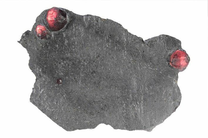 Plate of Four Red Embers Garnets in Graphite - Massachusetts #301090